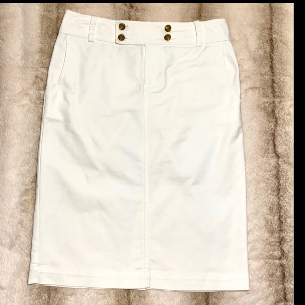 LAUREN Ralph Lauren Women Skirt size 2